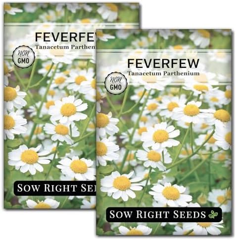 Sow Right Seeds - Feverfew Seed for Planting Perennial Medicinal Herb 2pk by SowRightSeeds