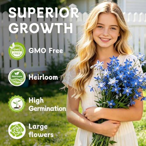 LUOJIBIE Borage Seeds, 2,000+ Blue Borage Seeds for Planting Outdoor & Indoor, Flower Seeds Bulk for Garden, Non-GMO & Heirloom, Easy to Grow - Image 3