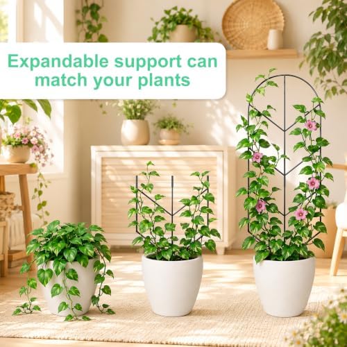2 Pack Large Metal Trellis for Climbing Plants, 30'' Tall Garden Plant Support for Potted Plants Indoor, Modern Decorative Trellis for Jasmine, Wisteria and Lilac Vines (Black - Image 5