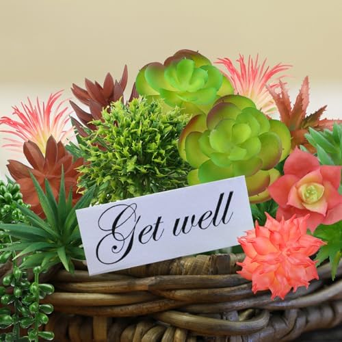QUOZUO Succulents Plants Artificial, 14pcs Colorful Succulents Plant, Mini Fake Succulents for DIY Crafting Home Garden Office Party - Image 5