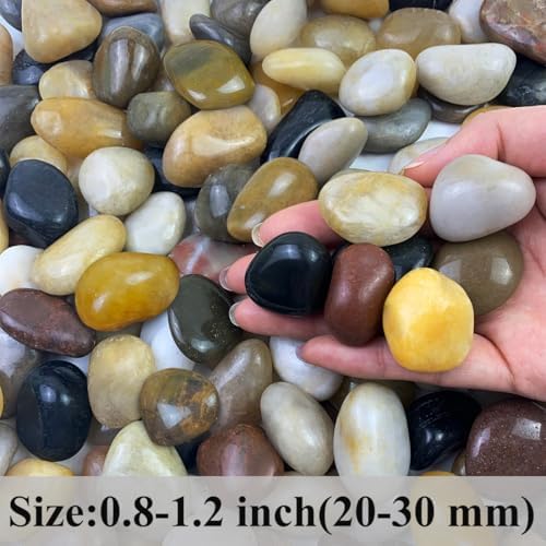 FANTIAN 2 lbs Small Pebbles for Indoor Plants, 0.8-1.2 Inch River Rocks - Image 2