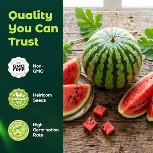 40 Heirloom Crimson Sweet Watermelon Seeds for Planting – Large Sweet Melon, High Germination, Fast-Growing, Ideal for Home Garden & Field - Image 2