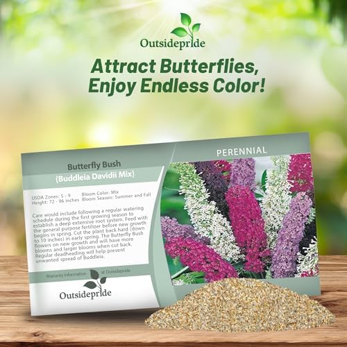 Outsidepride Butterfly Bush Mix Seeds - 100 Pcs. Perennial, Drought-Tolerant & Low Maintenance Flower Seeds for Planting Fast Growing & Aromatic, Tall Mixed Blooms, Great for Pollinator Gardens - Image 4