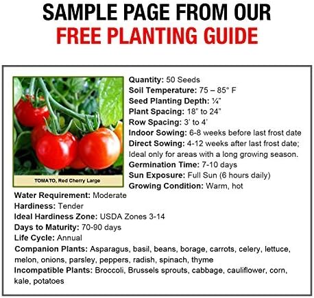 Heirloom Vegetable Seeds Non GMO Survival Seed Kit - Part of Our Legacy and Heritage - 50 Varieties 100% Naturally Grown- Best for Gardeners Who Raise Their Own Healthy Food - Image 6