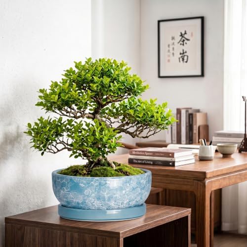 Succulent Planter, 13 Inch Ceramic Bonsai Pots, Droplet Blue - Image 4