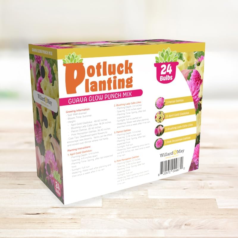 Guava Glow Punch Flower Bulb Mix - Complete All-in-One Garden Kit - 24 Bulbs per Box - Dahlias, Lilies, Gladiolus - Fragrant - Naturalizing - Live Outdoor Potluck Planting - Easy to Plant Flowers - Image 5