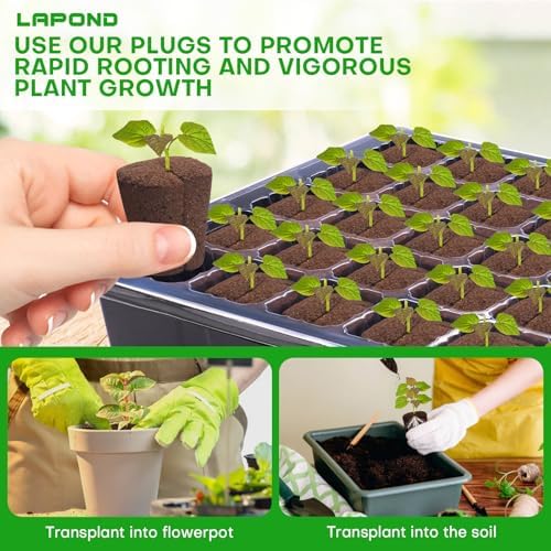 50 Pcs Grow Sponges,Replacement Plant Starter Plugs for Cuttings and Propagation,Great for Soil, Tray or Planting Pods, Promotes Herbs, Vegetables and Flowers Growth - Image 5