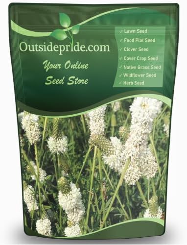 Outsidepride White Prairie Clover Seeds - 1 lb. Perennial Seeds for Planting, Easy to Grow, Drought & Heat Tolerant, High Protein Forage for Livestock, Ideal for Meadow Gardens, & Xeriscaping by Outsidepride