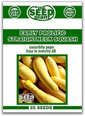 Early Prolific Straightneck Squash Seeds - 25 Seeds Non-GMO by The+Seed+Plant