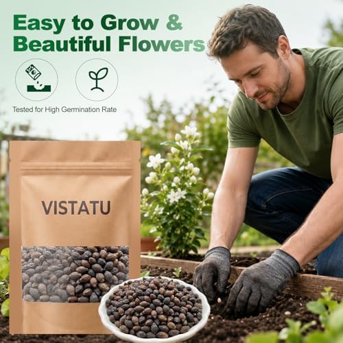 100+ Climbing Jasmine Flower Seeds Fragrant Plant for Planting Garden Home Four Seasons Evergreen Silver Jasmine Garden Balcony Climbing Flower Non-GMO - Image 4