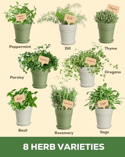 Unique Gift for Women, Mom, Friend – 8 Herb Indoor Window Garden Kit - Image 2