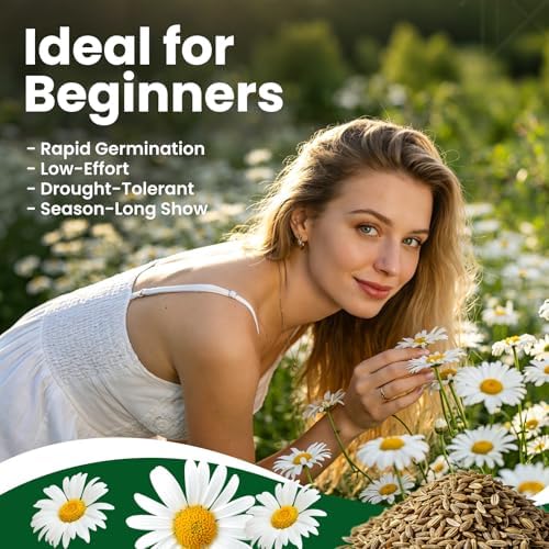 2300+ German Chamomile Seed Pack, Perennial Seeds for Planting, Herb Seed to Plant, Easy to Grow, High Germination, for Home Garden Indoor Outdoor - Image 2