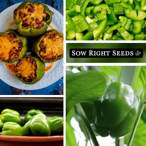 Sow Right Seeds - Emerald Giant Pepper Seed for Planting Bell Peppers - Image 4