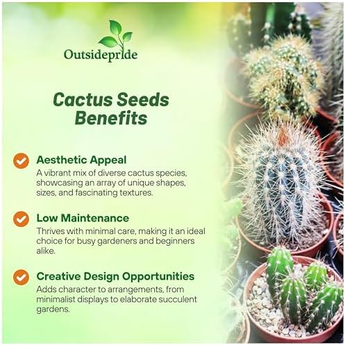 Outsidepride Mix Cactus Seeds - 2000 Pcs Perennial, Drought-Tolerant & Low Maintenance Succulent Seeds for Planting Blooms with Thick & Fleshy Stems for Sunny Gardens & Windowsills - Image 3