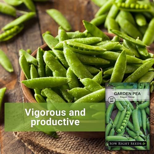 Sow Right Seeds - Sugar Snap Pea Seed for Planting Outdoors Vegetable - Image 3