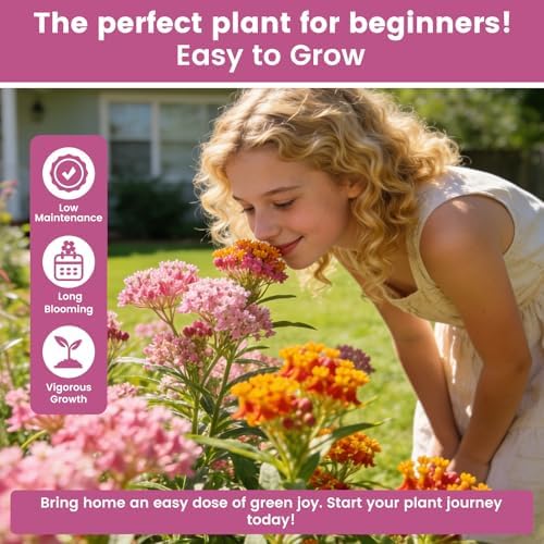 Milkweed Seeds Mix for Monarch Butterflies - Fruivity 5 Varieties Mixed Perennial Wildflower Milkweed Seeds Butterfly, Common, Showy, Pink Swamp & White Swamp - Flower Seeds for Garden - Image 4