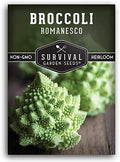 Romanesco Broccoli Seeds for Planting - Survival Garden Seeds (1 Pack) by SurvivalGardenSeeds