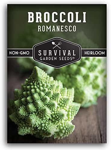 Romanesco Broccoli Seeds for Planting - Survival Garden Seeds (1 Pack) by SurvivalGardenSeeds
