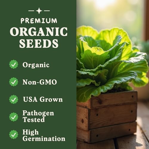 Organic Non-GMO Vegetable Seeds for Planting (Buttercrunch Lettuce) - Image 3