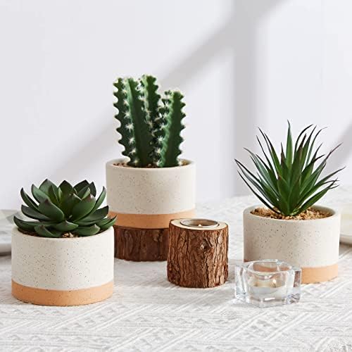 Artificial Succulent Plants in Ceramic Pots Set of 3 - Image 7