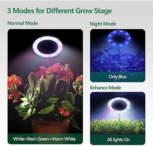 WaterRebirth PGL06 Ring Plant Grow Light, 6.3 Inch 14W Full Spectrum Grow Lamp with Timer, 10 Brightness & 3 Modes, Adjustable Height 9.5‑59 Inch for Large Potted Indoor Plants - Image 3