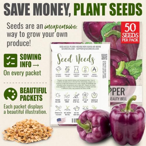 Seed Needs Purple Bell Pepper Seeds to Plant Vegetables - 10 Packs - Image 3