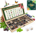Zone 5 Seed Bank, 32 Types Heirloom Vegetables Herbs Seeds, Gardening Gifts by LUSHDEW