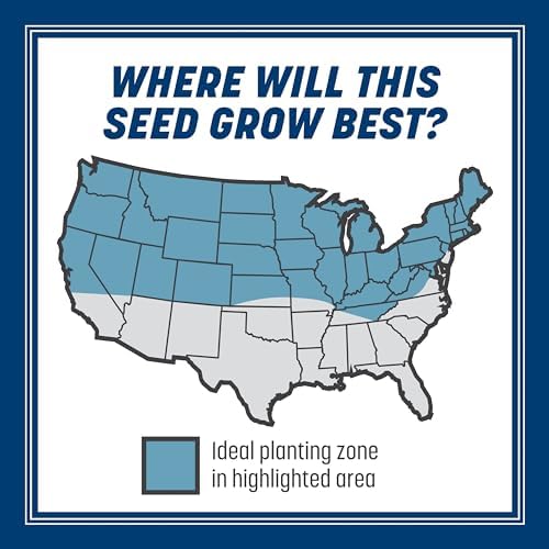 Pennington Smart Seed Kentucky Bluegrass Blend, Grass Seeds for Lawn, 3lb - Image 6