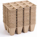 240 Cells Seed Starter Tray: Biodegradable Peat Pots – 20 Pack Plant Starter Kit with Seedling Trays for Indoor Outdoor Vegetable Herb Flower Germination – Reusable Sprouting Kit for Microgreens by FlamingoCasa