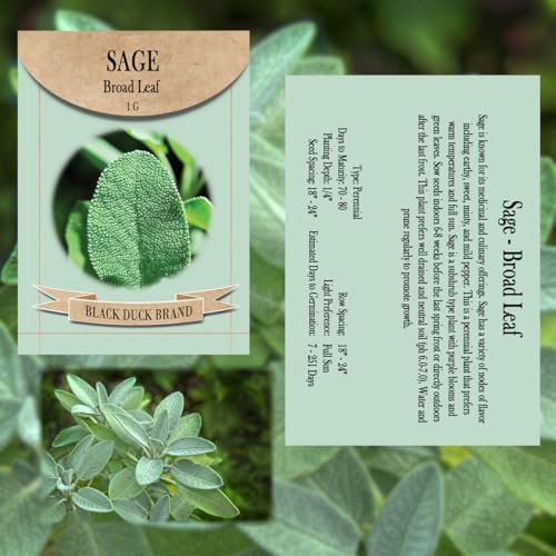 Italian Kitchen Herb Garden Seed Kit – 7 Classic Culinary Varieties for Authentic Cooking – Non-GMO & Heirloom Seeds – Includes Basil, Oregano, Parsley, Rosemary, Thyme, Sage & Garlic Chives - Image 2