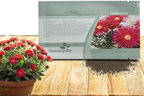 Outsidepride Gelato Red Ice Plant Seeds - 10000 Pcs Perennial, Drought Tolerant Ground Cover Seeds for Planting Vibrant Trailing Blooms, Ideal for Sunny Gardens & Xeriscape Landscaping by Outsidepride
