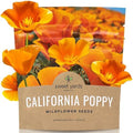 California Orange Poppy Wildflower Seeds - Bulk 1 Ounce Packet - Over 20,000 Native Seeds - California State Flower! by SweetYards