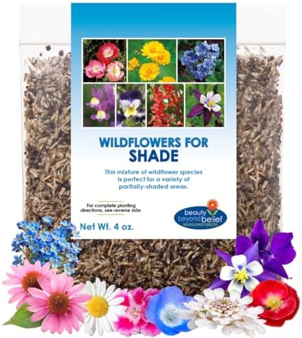 BBB Seed Partial Shade Wildflower Seeds Mix, Bulk 4 oz, Non-GMO Flowers by BBBSEED