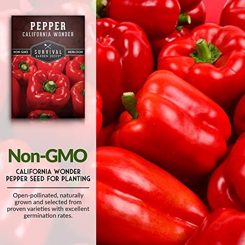 California Wonder Red Bell Pepper Seeds for Planting (5 Pack) - Image 3