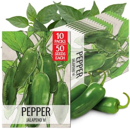 Seed Needs Jalapeño M Hot Pepper Seeds to Plant Vegetables - 10 Packs by SeedNeeds