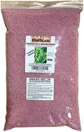 Pensacola Bahia Grass Seed - 10 Lbs. by SeedRanch by SeedRanch