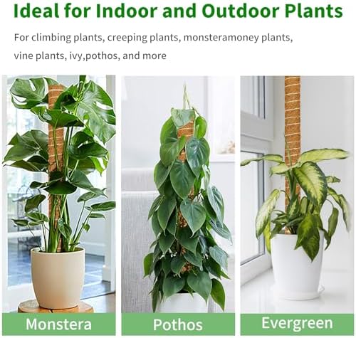 ALENEY Moss Pole, 6 Pack 17inch Monstera Plant Support Stackable Moss Poles for Plants, Coir Totem Pole Tall Moss Pole for Climbing Plants, Sphagnum, Indoor Potted Plants - Image 5