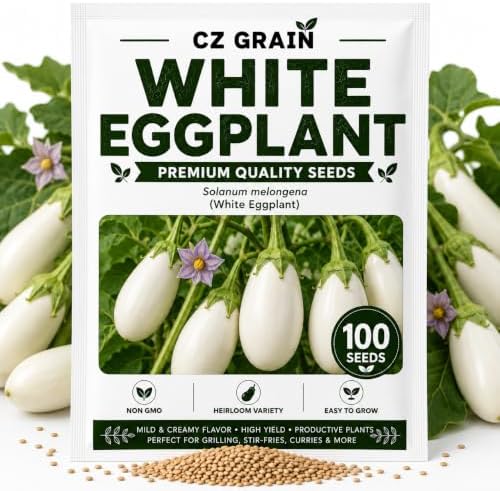 White Eggplant Seeds for Planting | 100 Seeds | White Garden Vegetable by CZGrain