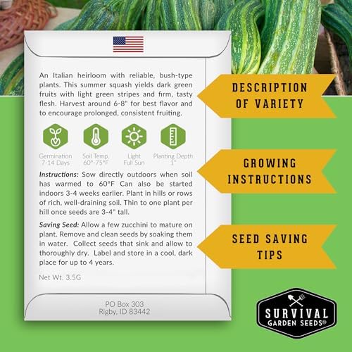 Cocozelle Zucchini Seeds for Planting - 2 Packs - Image 2