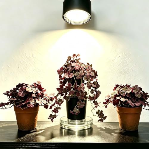 Dark Purple Artificial Shamrock Hanging Potted Plant, 2 Pack Fake Vine - Image 3