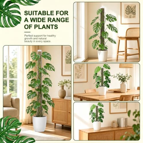 Plastic Moss Pole for Monstera and Climbing Plants, 6Pcs 15" Plant Poles - Image 6