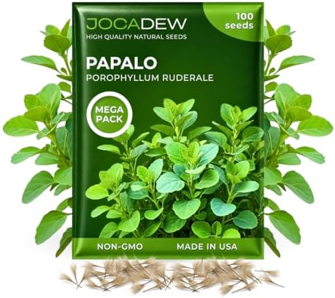 100+ Papalo Seeds – Mexican Herb Papaloquelite (Porophyllum ruderale) – Heirloom Garden Herb Seeds for Outdoor Garden, Raised Beds & Containers by Jocadew