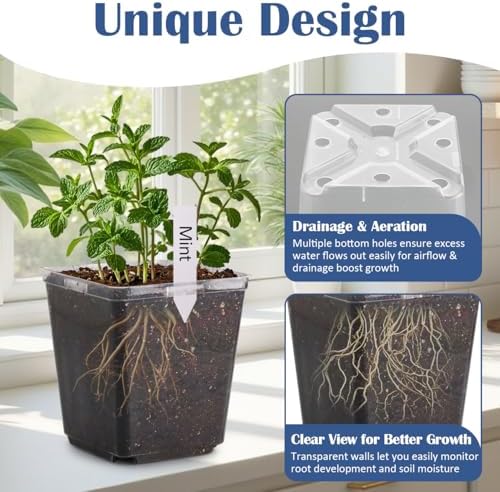 RooTrimmer 5.5 Inch Clear Square Nursery Pots with Drainage & Labels, 30Pcs Reusable Seed Starter Pots for Vegetables, Indoor Outdoor Gardening, Thick Transparent Plastic Plant Pots for Seed Starting - Image 2