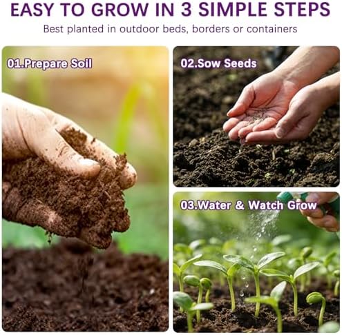 Wildflower Seeds Mix 1/2 lb, 19830+ Seeds Perennial& Annual 36 Varieties Flower Seeds for Planting，Non-GMO Heirloom Bulk Wild Flower Seeds for Indoor & Outdoors, FlowerSeed Packets for Home Garden - Image 7
