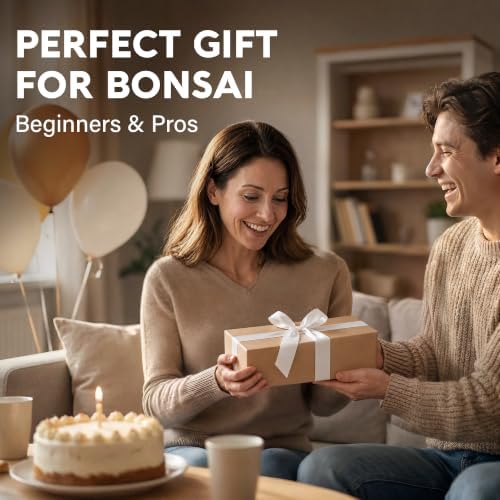 Avergo Bonsai Starter Kit – Growing Jacaranda Bonzai Tree - Image 5