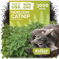 3,000 Catnip Heirloom Herb Seeds for Planting, Nepeta Cataria by KVITER