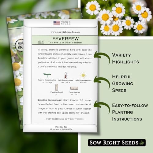 Sow Right Seeds - Feverfew Seed for Planting Perennial Medicinal Herb 2pk - Image 2