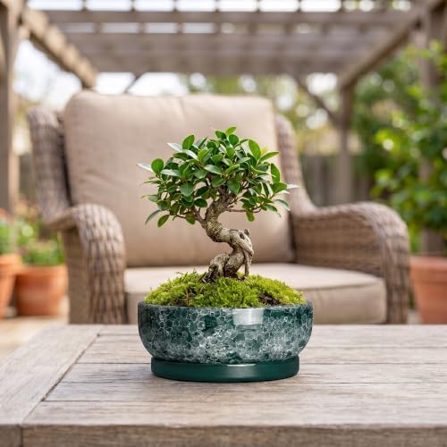 8 Inch Ceramic Bonsai Tree Pots with Saucer, Droplet Green - Image 3