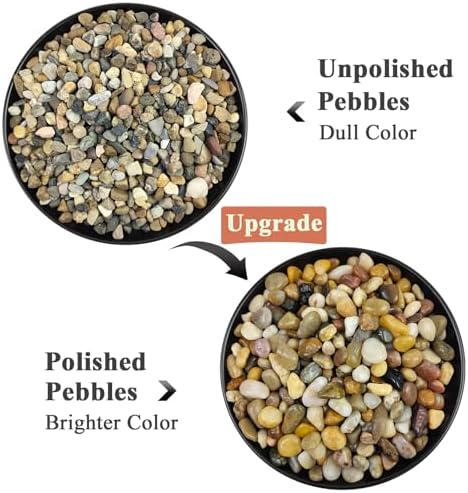 FANTIAN Pea Gravel for Fish Tank,5 lbs Polished Pebble for Plants, 1/4 Inch - Image 3