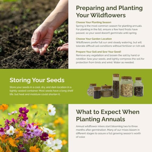Eden Brothers All Annual Wildflower Mixed Seeds for Planting, 1 oz, Seeds with Sunflower, Indian Blanket, Scarlet Flax | Attracts Pollinators, Plant in Spring, Zones 3, 4, 5, 6, 7, 8, 9, 10 - Image 4
